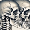 the olfactory nerve (i) passes through which foramen? The human skull showing the olfactory nerve passing through the cribriform plate